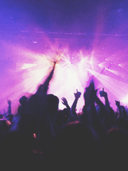 블랙자칼, 애들러스 관찰 일지