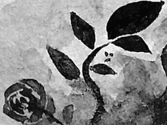 검은 수녀복의 마녀는 흰 고양이를 끌어안는다.[1]