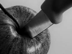 사랑하는 것들을 흉내 낼지어다 하니