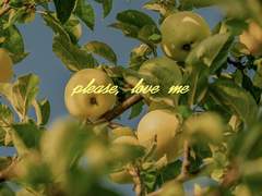 [오이이와] 알파는 알파를 사랑하면 안돼?