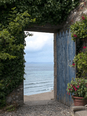 감의 콘텐츠 리뷰