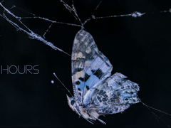 [필멸] 23시간 - 7. 에우리디케(R15)