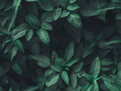 에레리로 오프더 레코드