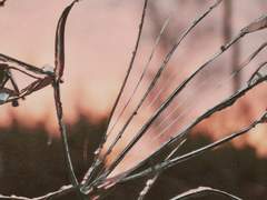 [제롬✕레이몬드] 유리로 빚은 날개를 쥐고