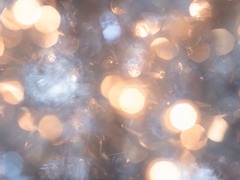 섭남파업 포타 온리전 홍보