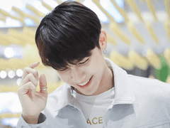 뮤바라기 걸프 14