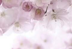 시작과 끝은 언제나 수평선상, 그 위에.