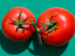 [중혁독자] 이런 반찬은 싫어?!