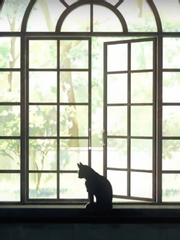 [고죠유지] 장편