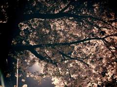 [형시] 초록비 - 3