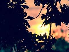 [리본츠나] 종말을 향유했던 사람들