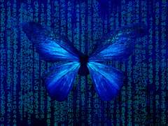 [롭톰][드림]푸른 나비들을 위하여