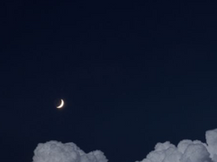 양 손에 쥔 최후를 내려둔 채로.