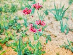 내 손을 잡아 16-2