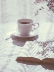 감상 타래 백업