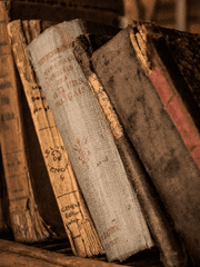 가로등의 마법사