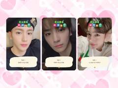 동물의 숲st 포카 프레임 도안 공유