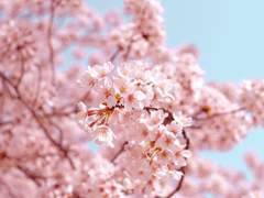 남겨진 이들에게