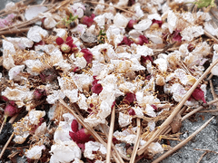 ㅇㅇ하지 않으면 못나가는 방 617 톨닥 토막글