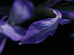 설립자의 영업방식