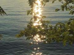 Arnold Diabolus /아놀드 디아보루스.26.남작.XY