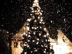 [해리 포터] Mistilteinn