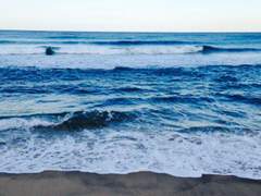 #심해커 프로필