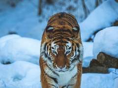 황궁열애사 (皇宮熱愛詞) 二十.