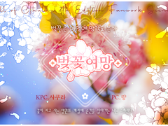 [사쿠량] 벚꽃은 여명에 망각되는가