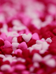 행복한 덕질라이프