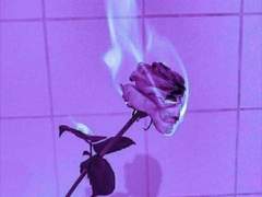 누군가를 좋아하는 일은