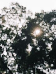 [세준] 그늘 밑 호흡법