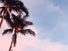 세상에 당연한 건 없다는 것을