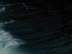 𝐇𝐞𝐚𝐝 𝐨𝐟 𝐇𝐮𝐟𝐟𝐥𝐞𝐩𝐮𝐟𝐟 𝐇𝐨𝐮𝐬𝐞