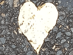 하이큐 히나타 그림모음