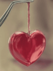 금어초 커뮤 글