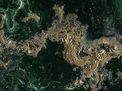 Дебора Шароновна Петрова