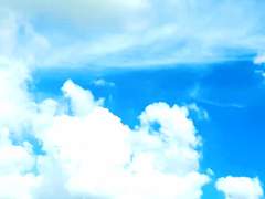 푸르게도 밝은 빛아,