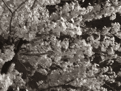 사랑이란 이름으로,