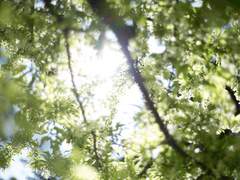 춘하추동(春夏秋冬) ; 첫 번째 이야기