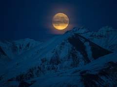 내가 바라는 것,