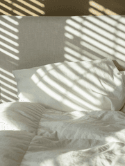 짧은 연성 모음