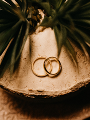 [유료] A Whole New World (完)