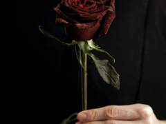 싱싱한 꽃이 다 팔렸습니다, 많이 늦으셨네요.