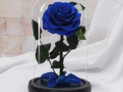 [레이소연] 첫만남