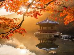 [비담덕만] 공유결합(共有結合) 下