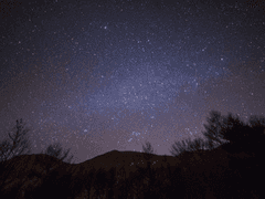 [수이웃 주작조] 처음하는 사과