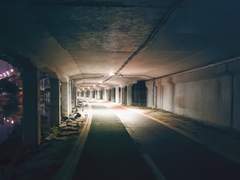 꿈속에서 걷던 길