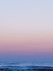 사랑하게 될 줄 알았어