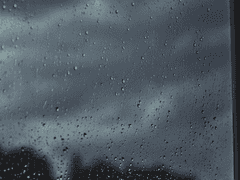 치사량의 오열 : 후원(2)